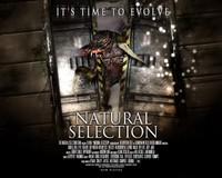 ns2.jpg